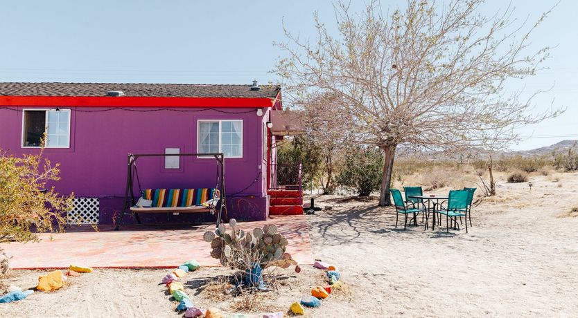 Photo of Technicolour Vision