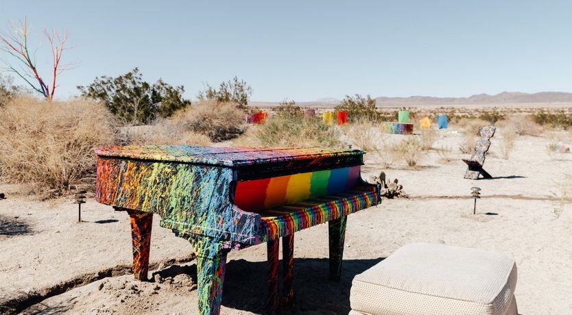 Photo of Technicolour Vision