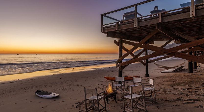 Photo of Dolphins at Dusk