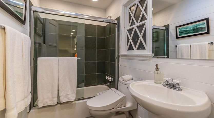 Photo of Dolphins at Dusk