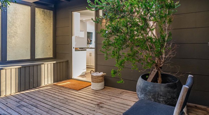 Photo of Dolphins at Dusk