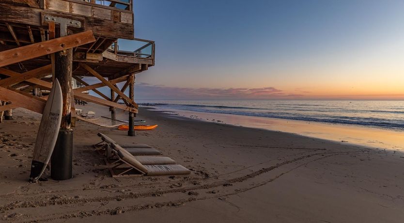 Photo of Dolphins at Dusk