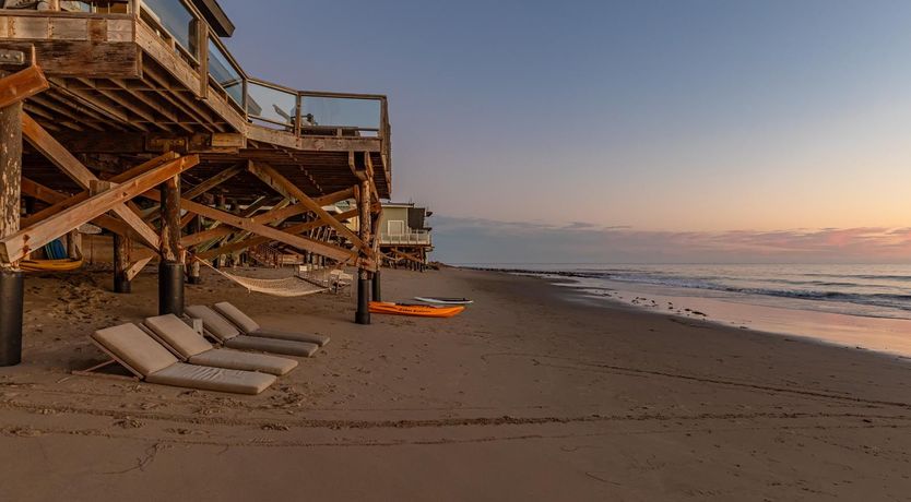 Photo of Dolphins at Dusk