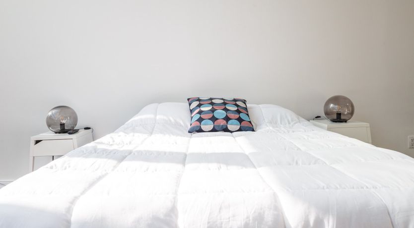 Photo of Blue Velvet