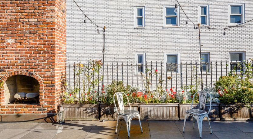 Photo of Blue Velvet