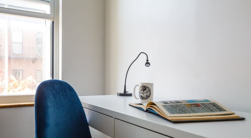 Photo of Blue Velvet