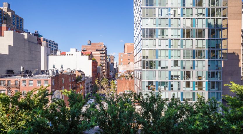 Photo of Blue Velvet