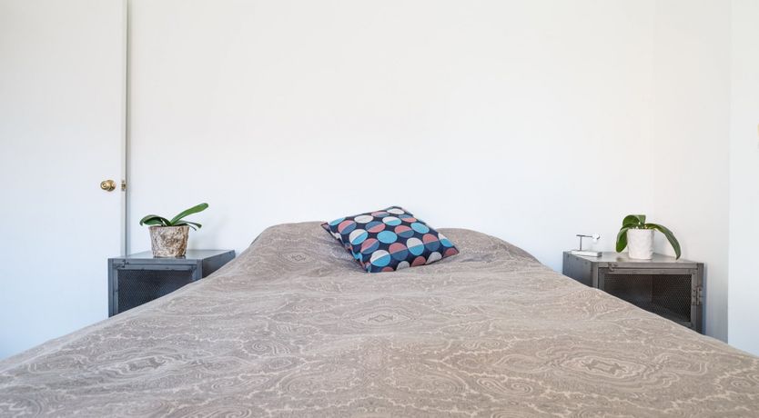 Photo of Blue Velvet