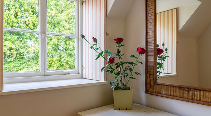 Photo of Thyme & Sage