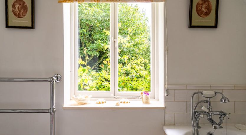 Photo of Thyme & Sage