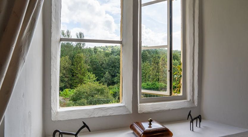 Photo of Thyme & Sage