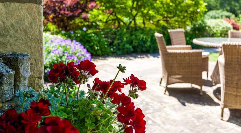 Photo of Thyme & Sage