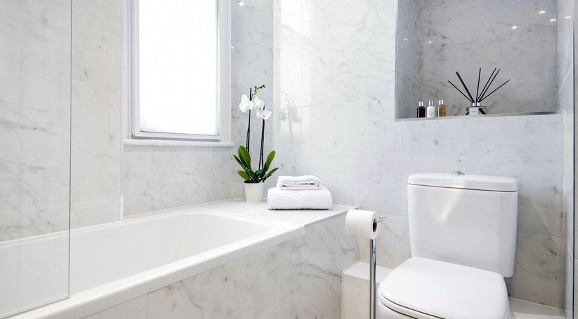 Photo of Flower Show