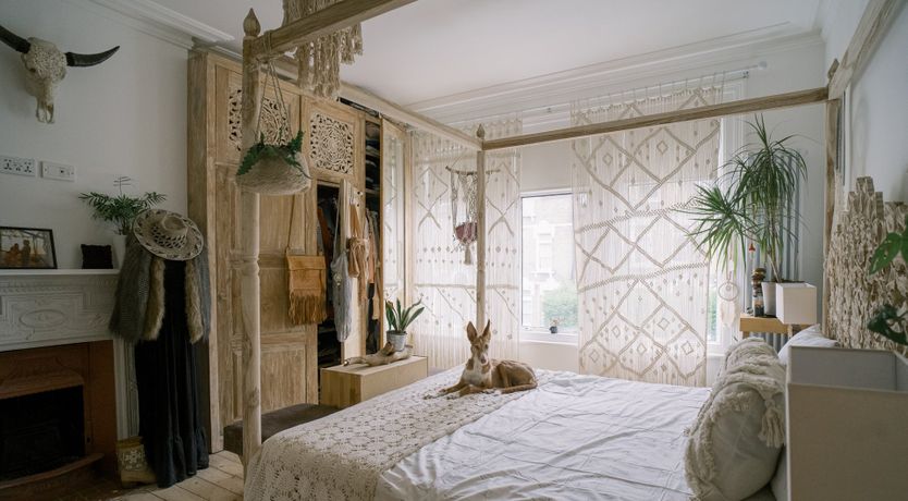 Photo of Bohemian Blaze