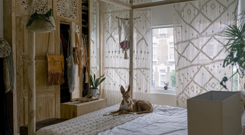 Photo of Bohemian Blaze