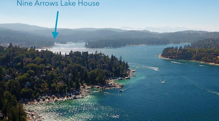 Photo of Forest Of Stars