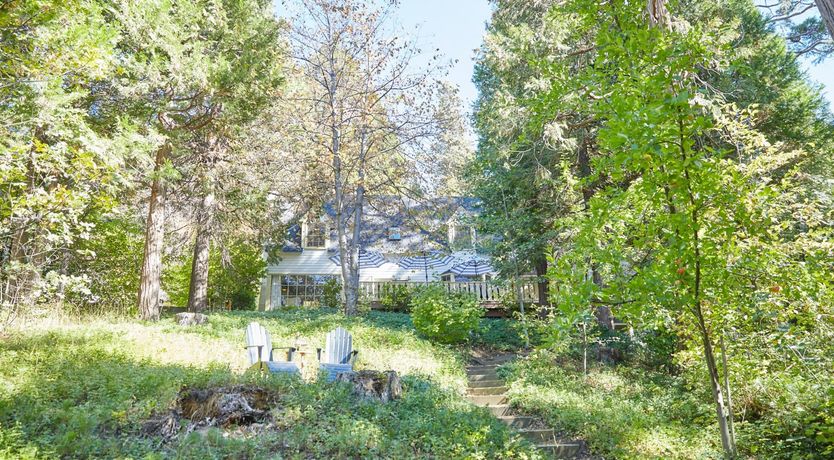 Photo of Forest Of Stars