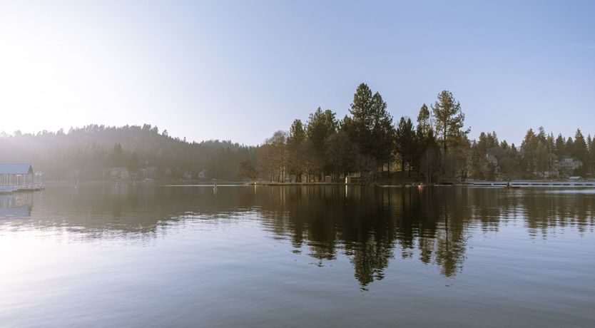 Photo of Forest Of Stars