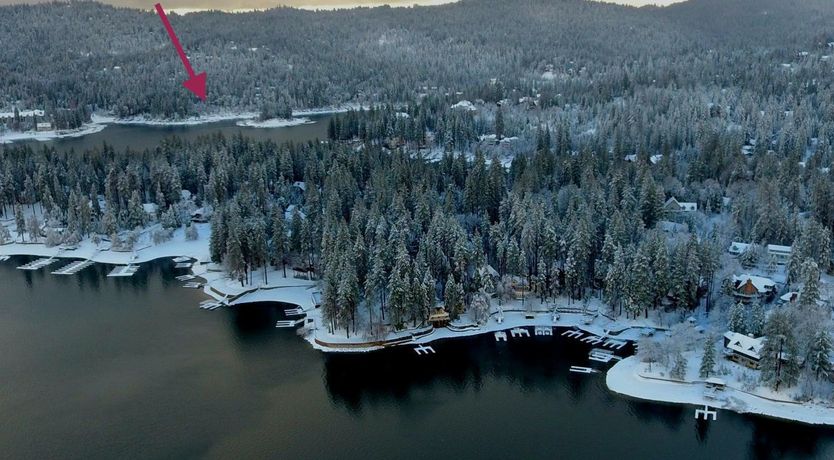 Photo of Forest Of Stars