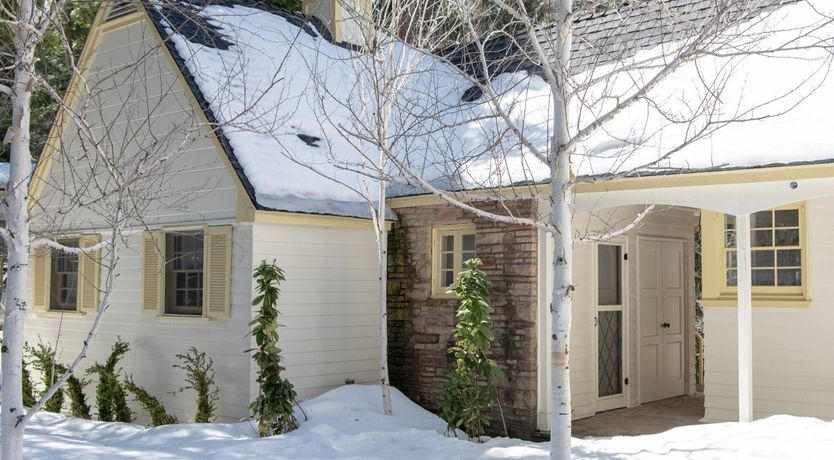 Photo of Forest Of Stars