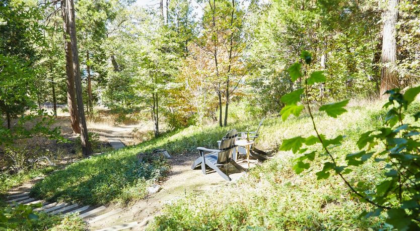 Photo of Forest Of Stars