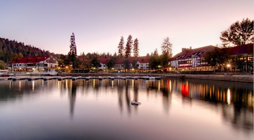 Photo of Forest Of Stars