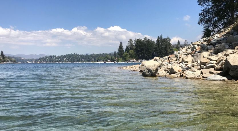 Photo of Forest Of Stars