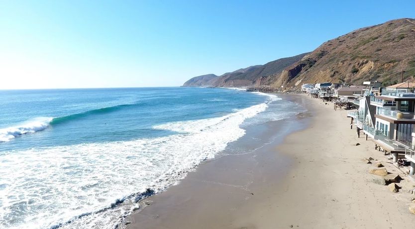 Photo of Waves & Whales