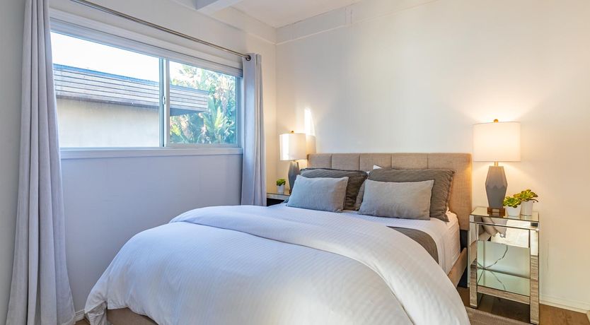 Photo of Waves & Whales