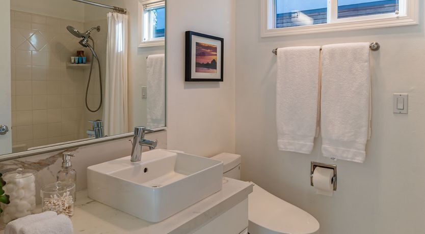 Photo of Waves & Whales