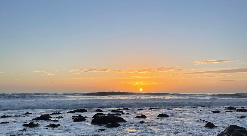 Photo of Waves & Whales