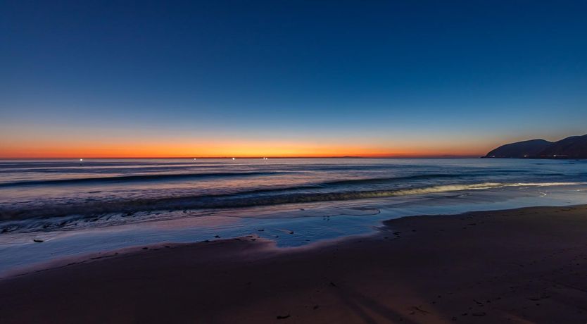 Photo of Waves & Whales