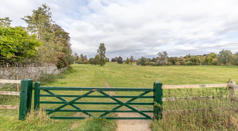 Photo of Build Me Up Buttercup