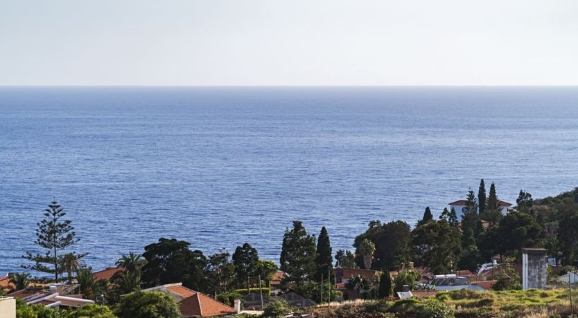 Photo of Gaze For Days