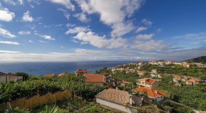 Photo of Heart & Sol