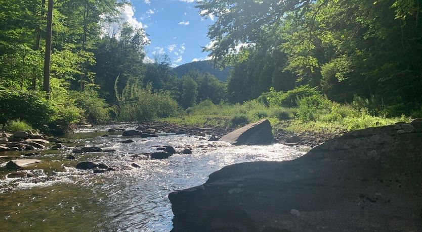 Photo of Which Way The River