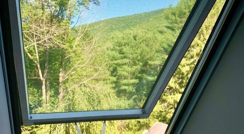 Photo of Which Way The River