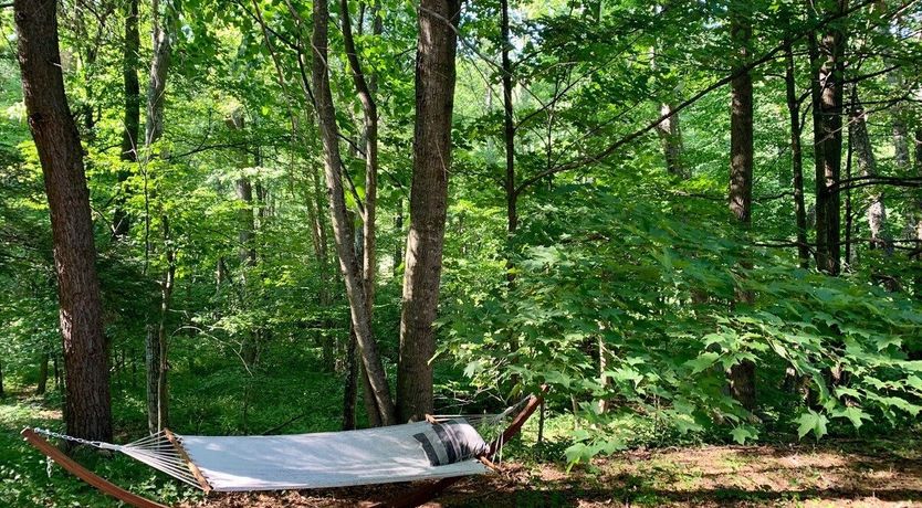 Photo of Which Way The River