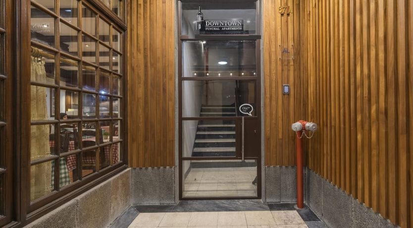 Photo of Blue Agapanthus