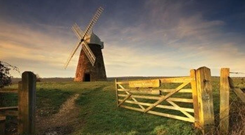 Photo of School of Thought