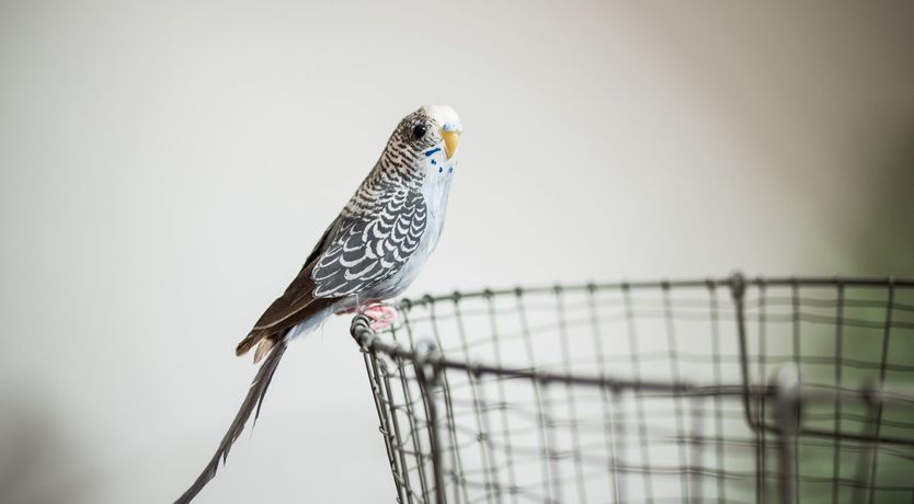 Photo of School of Thought