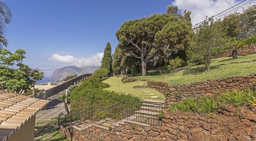 Photo of Orange Blossom Sugar