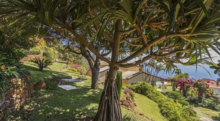 Photo of Orange Blossom Sugar