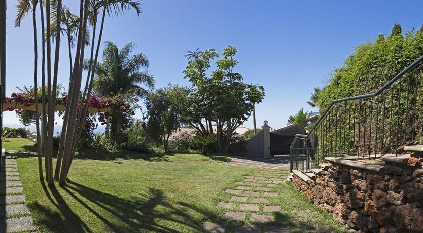 Photo of Orange Blossom Sugar