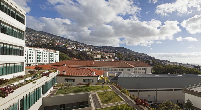 Photo of Light of My Life