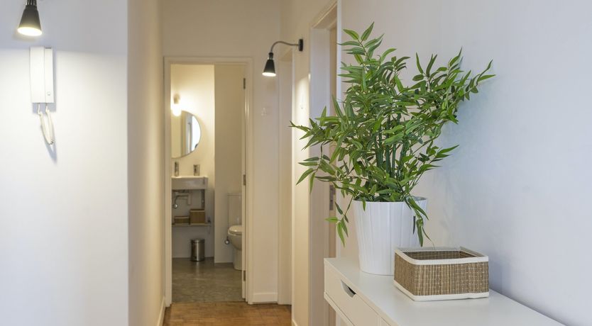 Photo of Light of My Life