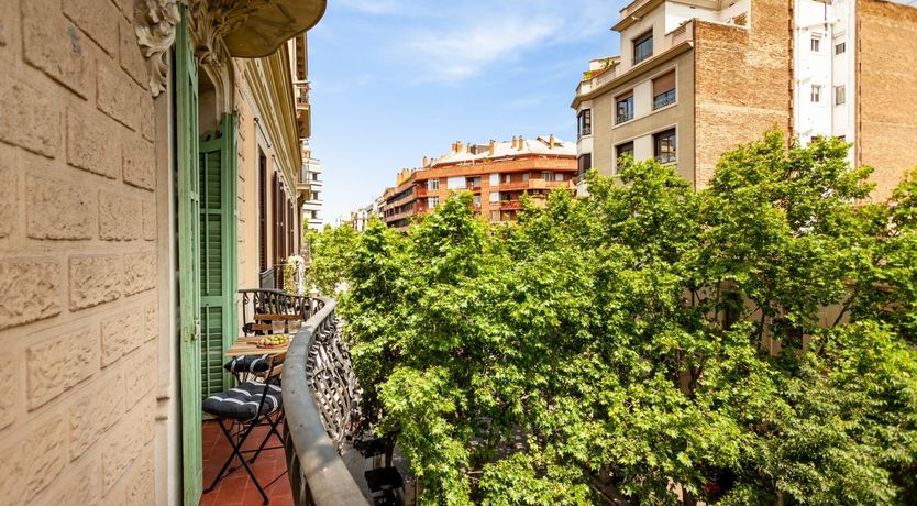 Photo of Driftwood Days