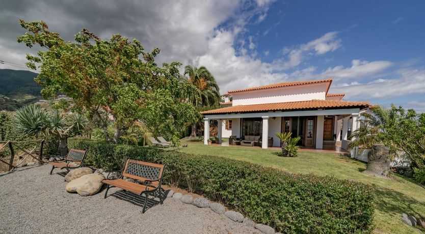 Photo of Madeira Cake