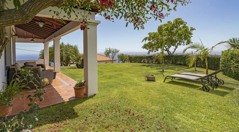 Photo of Madeira Cake