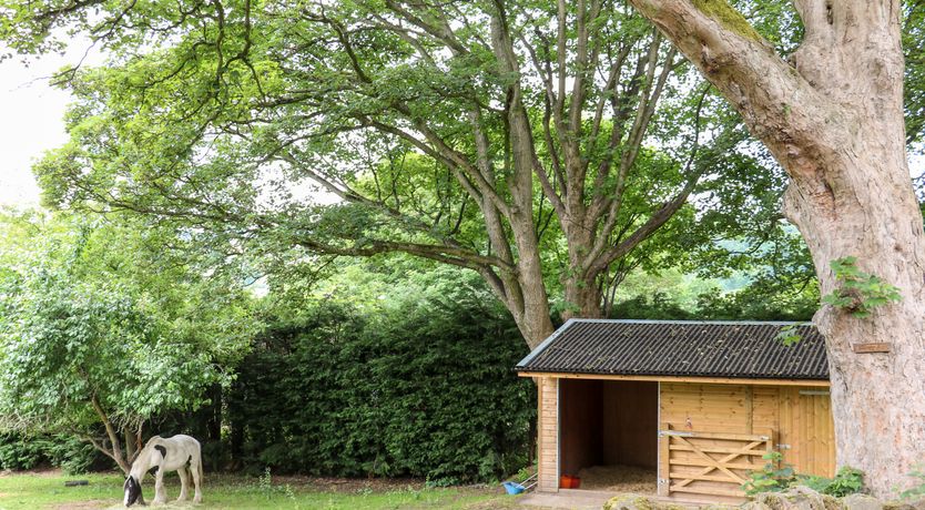 Photo of Bluebell Cottage